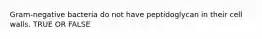 Gram-negative bacteria do not have peptidoglycan in their cell walls. TRUE OR FALSE