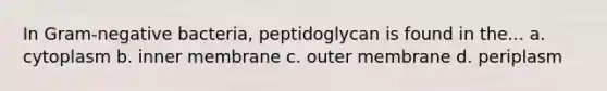 In Gram-negative bacteria, peptidoglycan is found in the... a. cytoplasm b. inner membrane c. outer membrane d. periplasm