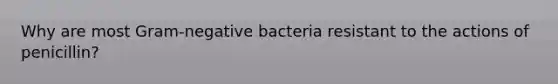 Why are most Gram-negative bacteria resistant to the actions of penicillin?