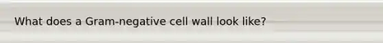 What does a Gram-negative cell wall look like?