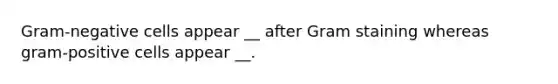 Gram-negative cells appear __ after Gram staining whereas gram-positive cells appear __.