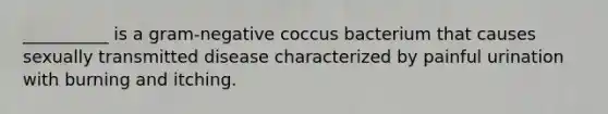 __________ is a gram-negative coccus bacterium that causes sexually transmitted disease characterized by painful urination with burning and itching.