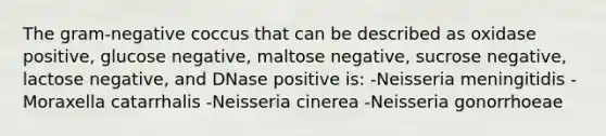 The gram-negative coccus that can be described as oxidase positive, glucose negative, maltose negative, sucrose negative, lactose negative, and DNase positive is: -Neisseria meningitidis -Moraxella catarrhalis -Neisseria cinerea -Neisseria gonorrhoeae