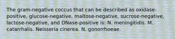 The gram-negative coccus that can be described as oxidase-positive, glucose-negative, maltose-negative, sucrose-negative, lactose-negative, and DNase-positive is: N. meningitidis. M. catarrhalis. Neisseria cinerea. N. gonorrhoeae.