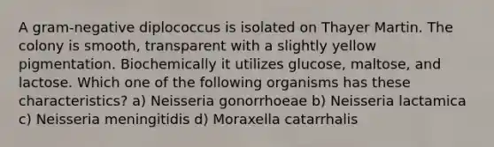 A gram-negative diplococcus is isolated on Thayer Martin. The colony is smooth, transparent with a slightly yellow pigmentation. Biochemically it utilizes glucose, maltose, and lactose. Which one of the following organisms has these characteristics? a) Neisseria gonorrhoeae b) Neisseria lactamica c) Neisseria meningitidis d) Moraxella catarrhalis