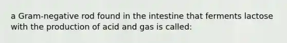 a Gram-negative rod found in the intestine that ferments lactose with the production of acid and gas is called: