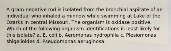 A gram-negative rod is isolated from the bronchial aspirate of an individual who inhaled a minnow while swimming at Lake of the Ozarks in central Missouri. The organism is oxidase positive. Which of the following organism identifications is least likely for this isolate? a. E. coli b. Aeromonas hydrophila c. Plesiomonas shigelloides d. Pseudomonas aeruginosa