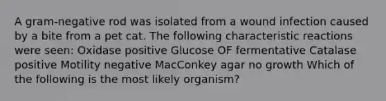 A gram-negative rod was isolated from a wound infection caused by a bite from a pet cat. The following characteristic reactions were seen: Oxidase positive Glucose OF fermentative Catalase positive Motility negative MacConkey agar no growth Which of the following is the most likely organism?