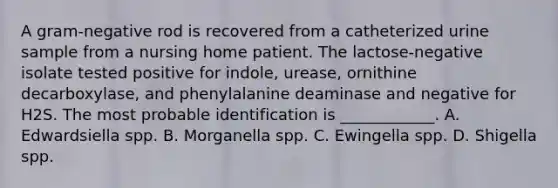 A gram-negative rod is recovered from a catheterized urine sample from a nursing home patient. The lactose-negative isolate tested positive for indole, urease, ornithine decarboxylase, and phenylalanine deaminase and negative for H2S. The most probable identification is ____________. A. Edwardsiella spp. B. Morganella spp. C. Ewingella spp. D. Shigella spp.