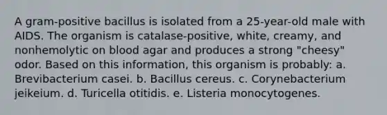 A gram-positive bacillus is isolated from a 25-year-old male with AIDS. The organism is catalase-positive, white, creamy, and nonhemolytic on blood agar and produces a strong "cheesy" odor. Based on this information, this organism is probably: a. Brevibacterium casei. b. Bacillus cereus. c. Corynebacterium jeikeium. d. Turicella otitidis. e. Listeria monocytogenes.