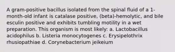 A gram-positive bacillus isolated from the spinal fluid of a 1-month-old infant is catalase positive, (beta)-hemolytic, and bile esculin positive and exhibits tumbling motility in a wet preparation. This organism is most likely: a. Lactobacillus acidophilus b. Listeria monocytogenes c. Erysipelothrix rhusiopathiae d. Corynebacterium jeikeium