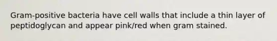 Gram-positive bacteria have cell walls that include a thin layer of peptidoglycan and appear pink/red when gram stained.