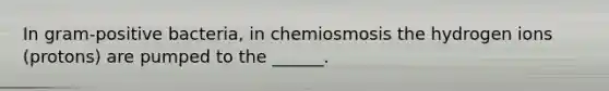 In gram-positive bacteria, in chemiosmosis the hydrogen ions (protons) are pumped to the ______.