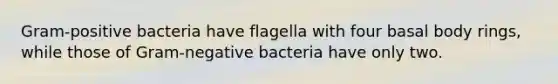 Gram-positive bacteria have flagella with four basal body rings, while those of Gram-negative bacteria have only two.