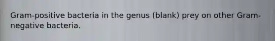 Gram-positive bacteria in the genus (blank) prey on other Gram-negative bacteria.