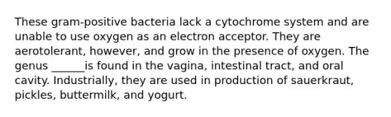 These gram-positive bacteria lack a cytochrome system and are unable to use oxygen as an electron acceptor. They are aerotolerant, however, and grow in the presence of oxygen. The genus ______is found in the vagina, intestinal tract, and oral cavity. Industrially, they are used in production of sauerkraut, pickles, buttermilk, and yogurt.