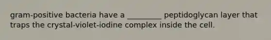 gram-positive bacteria have a _________ peptidoglycan layer that traps the crystal-violet-iodine complex inside the cell.