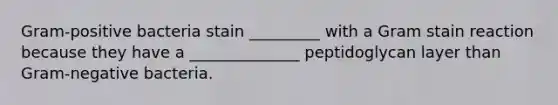 Gram-positive bacteria stain _________ with a Gram stain reaction because they have a ______________ peptidoglycan layer than Gram-negative bacteria.