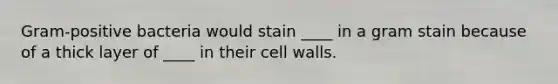 Gram-positive bacteria would stain ____ in a gram stain because of a thick layer of ____ in their cell walls.