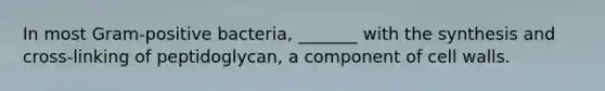 In most Gram-positive bacteria, _______ with the synthesis and cross-linking of peptidoglycan, a component of cell walls.
