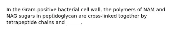 In the Gram-positive bacterial cell wall, the polymers of NAM and NAG sugars in peptidoglycan are cross-linked together by tetrapeptide chains and ______.