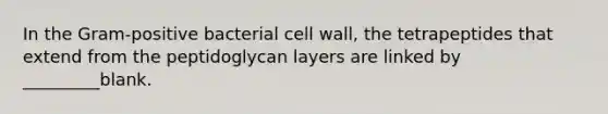 In the Gram-positive bacterial cell wall, the tetrapeptides that extend from the peptidoglycan layers are linked by _________blank.