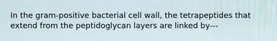 In the gram-positive bacterial cell wall, the tetrapeptides that extend from the peptidoglycan layers are linked by---