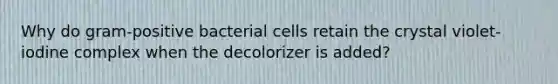 Why do gram-positive bacterial cells retain the crystal violet-iodine complex when the decolorizer is added?