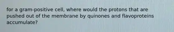 for a gram-positive cell, where would the protons that are pushed out of the membrane by quinones and flavoproteins accumulate?