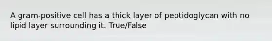 A gram-positive cell has a thick layer of peptidoglycan with no lipid layer surrounding it. True/False