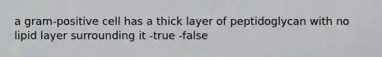 a gram-positive cell has a thick layer of peptidoglycan with no lipid layer surrounding it -true -false