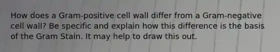 How does a Gram-positive cell wall differ from a Gram-negative cell wall? Be specific and explain how this difference is the basis of the Gram Stain. It may help to draw this out.