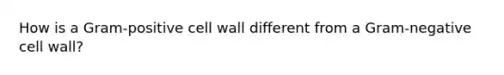 How is a Gram-positive cell wall different from a Gram-negative cell wall?