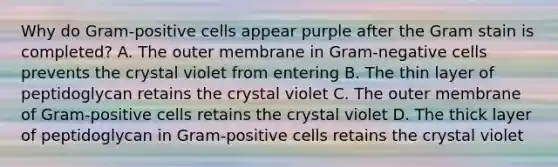 Why do Gram-positive cells appear purple after the Gram stain is completed? A. The outer membrane in Gram-negative cells prevents the crystal violet from entering B. The thin layer of peptidoglycan retains the crystal violet C. The outer membrane of Gram-positive cells retains the crystal violet D. The thick layer of peptidoglycan in Gram-positive cells retains the crystal violet