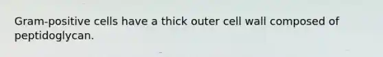 Gram-positive cells have a thick outer cell wall composed of peptidoglycan.