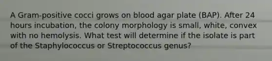 A Gram-positive cocci grows on blood agar plate (BAP). After 24 hours incubation, the colony morphology is small, white, convex with no hemolysis. What test will determine if the isolate is part of the Staphylococcus or Streptococcus genus?