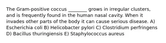 The Gram-positive coccus ________ grows in irregular clusters, and is frequently found in the human nasal cavity. When it invades other parts of the body it can cause serious disease. A) Escherichia coli B) Helicobacter pylori C) Clostridium perfringens D) Bacillus thuringiensis E) Staphylococcus aureus