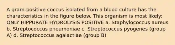 A gram-positive coccus isolated from a blood culture has the characteristics in the figure below. This organism is most likely: ONLY HIPPURATE HYDROLYSIS POSITIVE a. Staphylococcus aureus b. Streptococcus pneumoniae c. Streptococcus pyogenes (group A) d. Streptococcus agalactiae (group B)