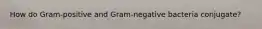 How do Gram-positive and Gram-negative bacteria conjugate?