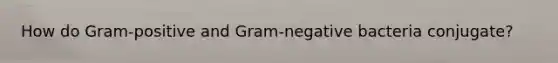 How do Gram-positive and Gram-negative bacteria conjugate?