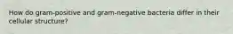 How do gram-positive and gram-negative bacteria differ in their cellular structure?