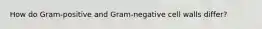 How do Gram-positive and Gram-negative cell walls differ?