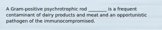 A Gram-positive psychrotrophic rod ________ is a frequent contaminant of dairy products and meat and an opportunistic pathogen of the immunocompromised.