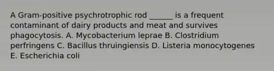 A Gram-positive psychrotrophic rod ______ is a frequent contaminant of dairy products and meat and survives phagocytosis. A. Mycobacterium leprae B. Clostridium perfringens C. Bacillus thruingiensis D. Listeria monocytogenes E. Escherichia coli