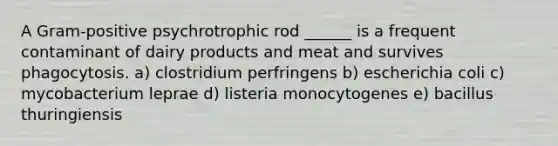 A Gram-positive psychrotrophic rod ______ is a frequent contaminant of dairy products and meat and survives phagocytosis. a) clostridium perfringens b) escherichia coli c) mycobacterium leprae d) listeria monocytogenes e) bacillus thuringiensis