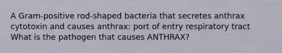 A Gram-positive rod-shaped bacteria that secretes anthrax cytotoxin and causes anthrax: port of entry respiratory tract What is the pathogen that causes ANTHRAX?