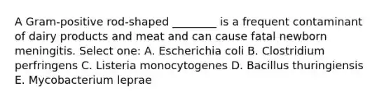 A Gram-positive rod-shaped ________ is a frequent contaminant of dairy products and meat and can cause fatal newborn meningitis. Select one: A. Escherichia coli B. Clostridium perfringens C. Listeria monocytogenes D. Bacillus thuringiensis E. Mycobacterium leprae