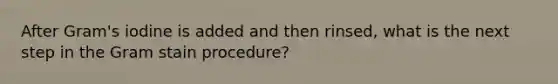 After Gram's iodine is added and then rinsed, what is the next step in the Gram stain procedure?