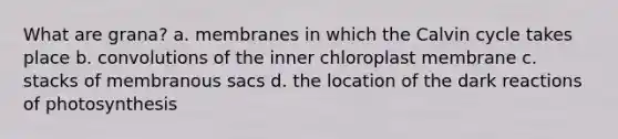 What are grana? a. membranes in which the Calvin cycle takes place b. convolutions of the inner chloroplast membrane c. stacks of membranous sacs d. the location of the dark reactions of photosynthesis