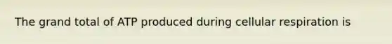 The grand total of ATP produced during cellular respiration is